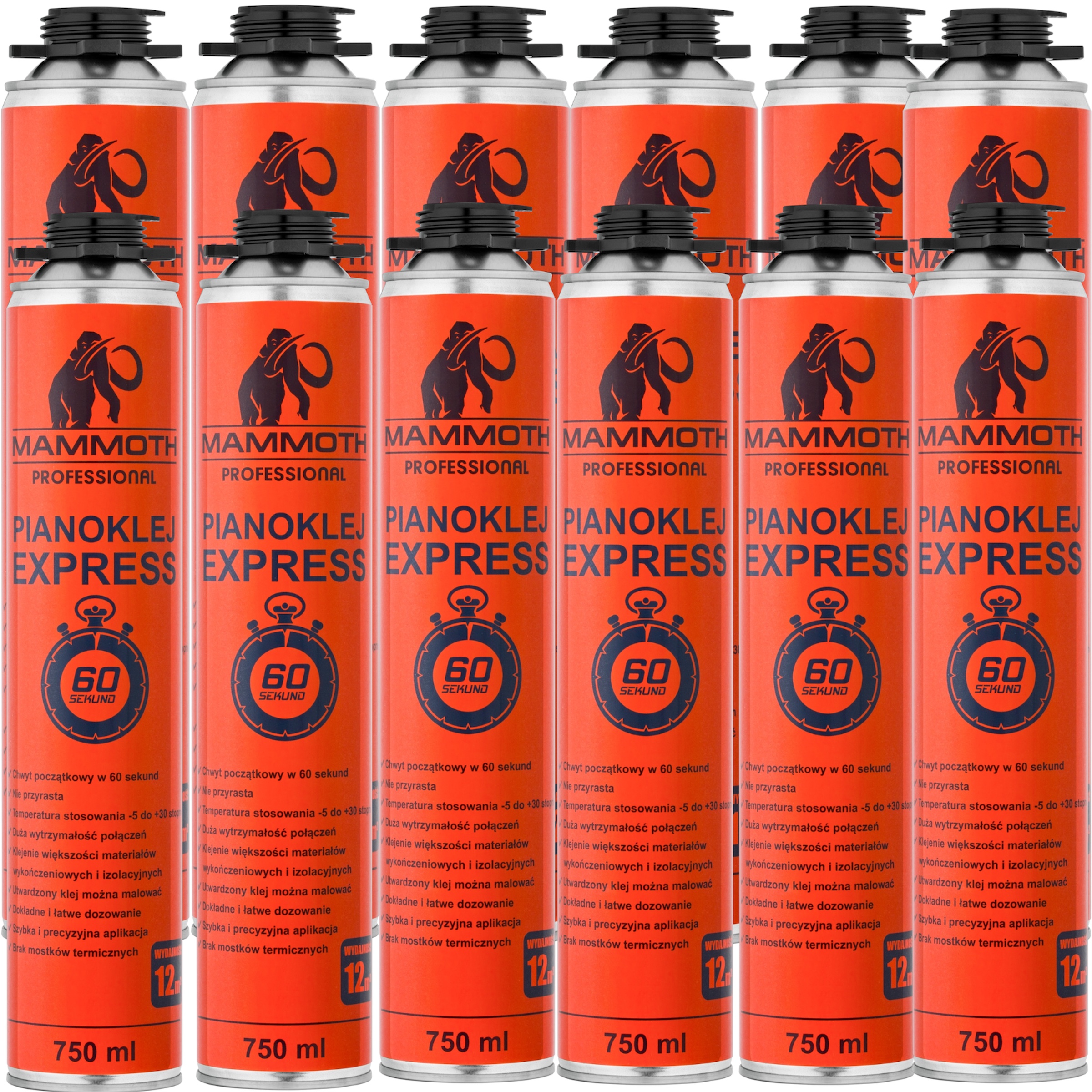 Pianoklej Express 60 SEKUND 750 ml